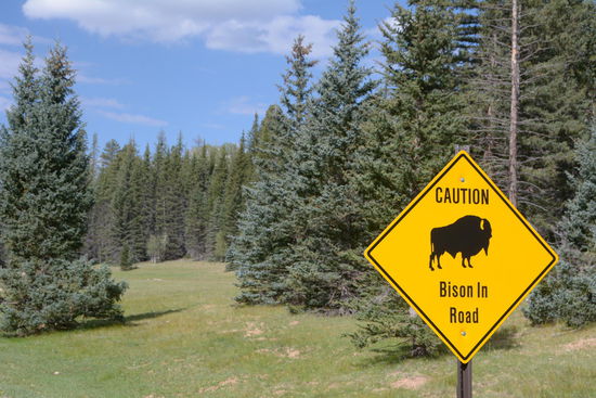 Das meinen die doch wohl nicht ernst?