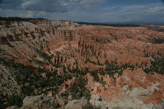 Ein erster Eindruck...