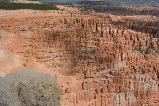 "Hier kann man eine Kuh verlieren"
