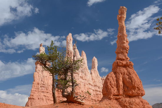 ... fast schon eine Detailansicht