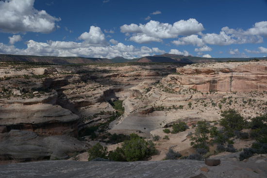 Der erste Bogen im Natural Bridges National Monument - oder: Alte Fotografenweisheit: Wenn deine Bilder nichts taugen, warst du nicht dicht genug dran. Deswegen...