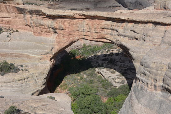 ... vielleicht besser so oder....