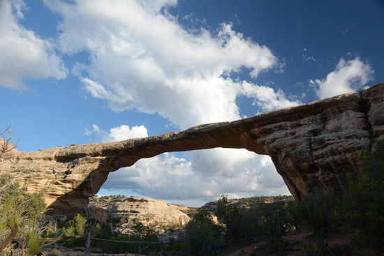 Dafuer ist die Dritte wieder ein echter Hingucker!