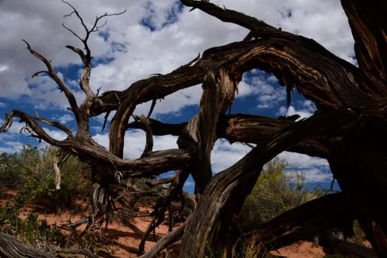 Der Park hat noch so viel mehr zu bieten als nur die Boegen, was hier aber viel zu kurz kommt...