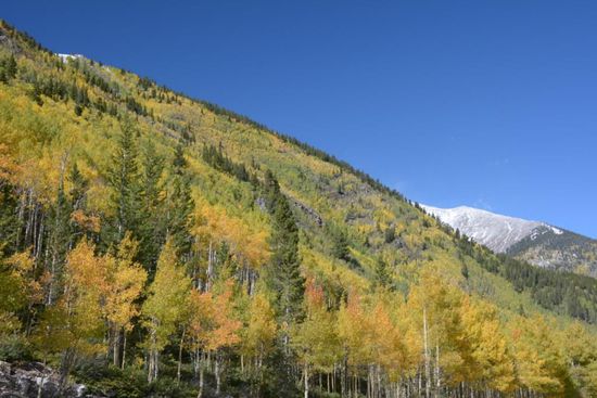 Mit den schneebedeckten Bergen im Hintergrund aber trotzdem ein schoener Anblick