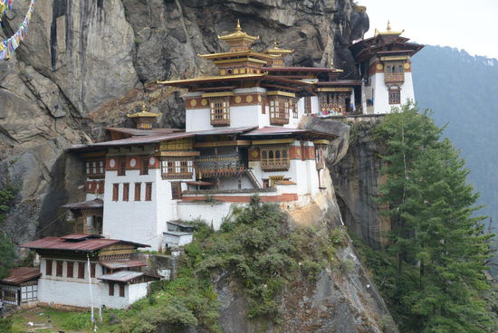 Und hier noch einmal in seiner vollen Pracht