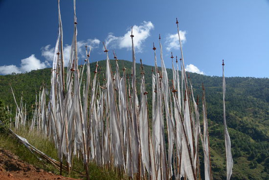 Gebetsfahnen weisen den Weg zum Kloster, sind aber auch sonst überall zu finden