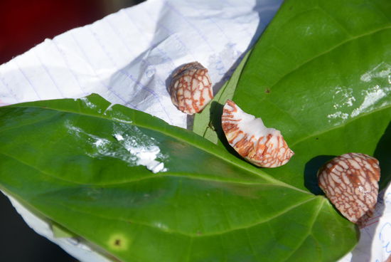 Ein Stück Betelnuss, ein bisschen Branntkalk und das Ganze in ein Blatt gewickelt verschwindet in der Wange und wird dann lange gekaut, bis der rote Saft schießlich auf der Straße landet