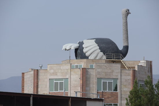 Gutes Marketing - weithinsichtbar ein riesiger Strauß auf einem modernen Bürogebäude