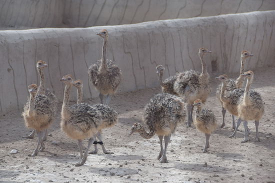Das hätte aus meinem Geschenk eigentlich auch werden sollen...
