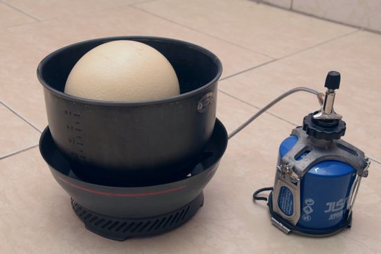 Wie oft muss ein Straußenei beim Kochen gewendet werden, wenn es nicht in den Topf passt?