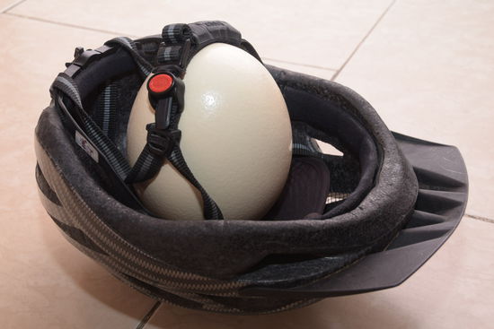 Vielleicht verpacke ich ja einfach nur ganz sicher und nehme es mit nach Hause - sind ja nur noch elf Tage. Aber bekommt man ein Straußenei im Handgepäck durch die Sicherheitskontrolle? Mit den 100ml Flüssigkeit wird das jedenfalls nix!