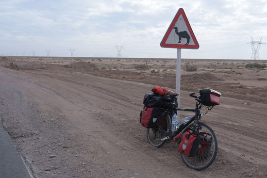 Ja, ja, das ist wie mit den Elchen in Schweden. Wer hat da schon mal einen Elch auf der Straße gesehen. Ich hoffe nur, dass nicht ich gemeint bin...
