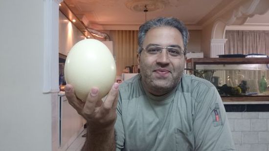 Masoud ist ein äußerst kreativer Mensch - ihm wird schon etwas einfallen, was er mit dem Ei machen kann 
