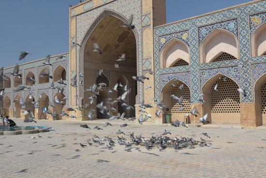 Erst einmal die Moschee besichtigen - es kommen noch ein paar mehr