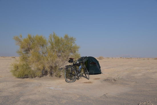 Glück gehabt - nach einer völlig vegetationslosen Wüstenstrecke gibt dieser Busch ein wenig Schutz  - wogegen eigentlich? Jedenfalls schläft man hervorragend auf dem Wüstensand. Wenn nur nicht der allgegenwärtige Staub wäre.