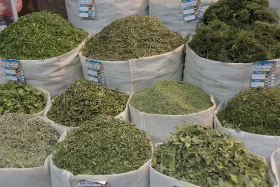 Was weiß ich denn, was hier angeboten wird...