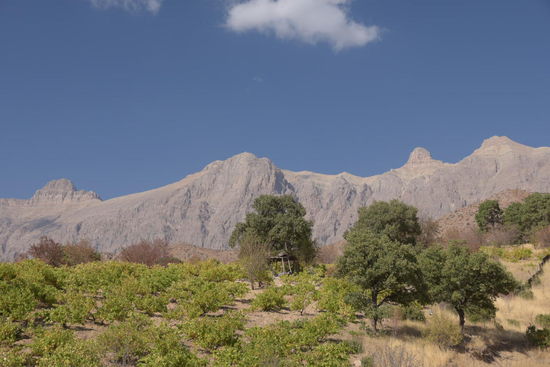 Es gibt auch richtige Berge, nicht nur Hügel. Der höchste Gipfel der Bergkette im Hintergrund ist über 4400m hoch!