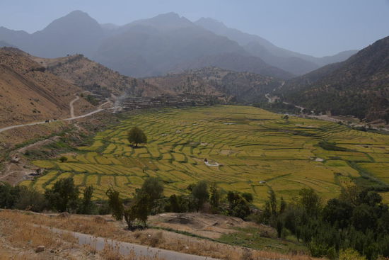 Fladenbrot und Reis sind hier Grundnahrungsmittel, deswegen auch die ausgedehnten Reisfelder (ich kann bald keinen Geflügelkebab mit Reis mehr sehen