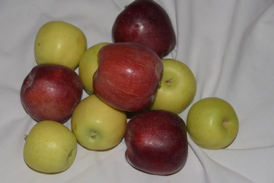 Tagesausbeute in einer Apfelgegend - die Menschen müssen offenbar glauben, dass die Früchte viel Radfahrenergie enthalten