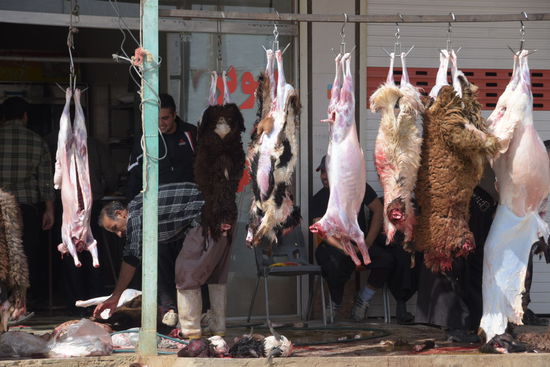 Übringens: Der Freitag ist kein guter Tag für Schafe...