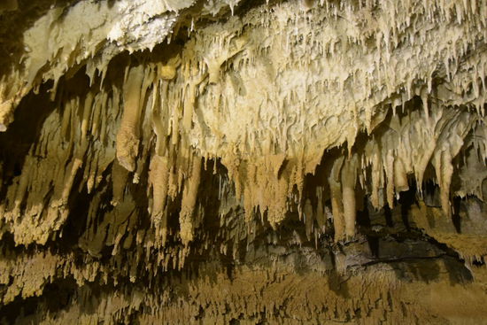 Natürlich wohin man guckt unheimliche viele bizarre Tropfsteinformationen