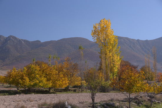 Auch wenn die Tage mit Temperaturen von über 30 Grad noch einmal recht warm geworden sind, zieht auch hier inzwischen so etwas wie Indian Summer ein
