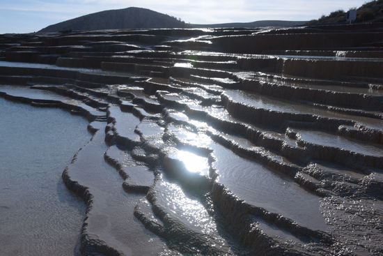 Auch im Gegenlicht nicht ganz hässlich