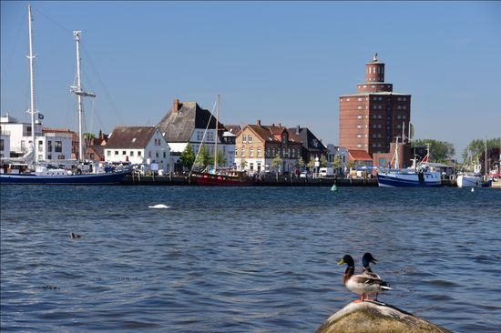 Erster echter Ostseekontakt in Eckernförde
