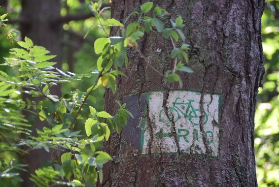 Schön, wenn es immer so eindeutig ist und die Zeichen überhaupt zu finden sind
