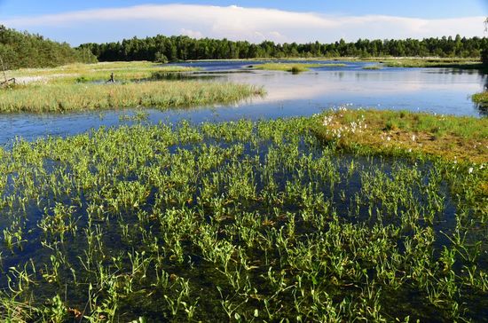 Auf der einen Seite die Sanddünen, auf der anderen wunderschöne Moore