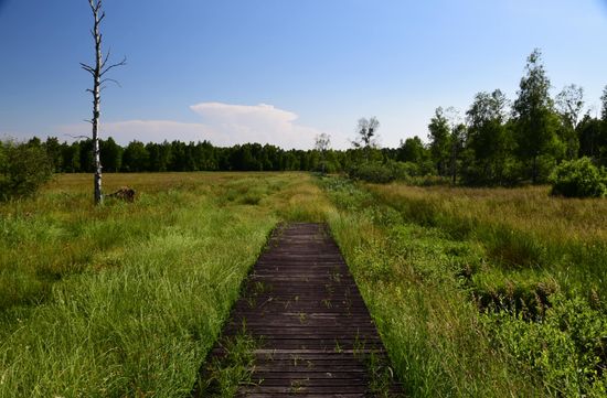 Auch so kann ein internationaler Radwanderweg aussehen