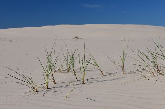 Nur am Rand wächst spärliches Gras