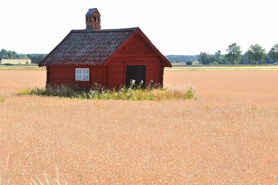 Ein Bett im Kornfeld, aber mit Hütte drum herum. Für dieses Foto bin ich einmal in das Weizenfeld gegangen..