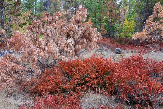 Dafür möchte ich nicht verantwortlich gemacht werden - ich selbst leide streckenweise auch unter diesem extremen Sommer