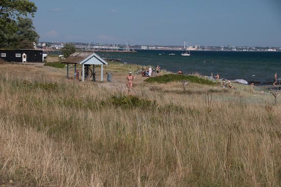 Das gibt es nur in Deutschland und Dänemark: Kilometer um Kilometer fahre ich direkt am Ostseestrand entlang - mit Blick auf die Ostsee! Ich glaube, auf den 40 Kilometern zwischen Helsingör und Kopenhagen habe ich mehr Ostsee gesehen, als in ganz Finnland