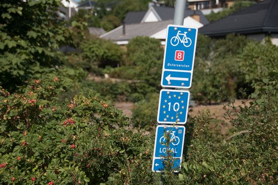 Dänische Perfektion in Sachen Fahrrad fahren und ausgerechnet hier falle ich einer Interviewerin in die Finger, die von mir wissen möchte, was man noch besser machen könne