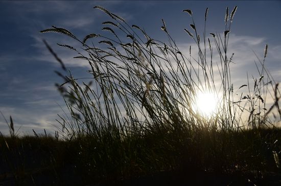Abendstimmung in einem Land, das mich beim ersten Eindruck äußerst positiv überraschte