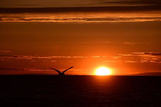 Und ganz ohne Sunset über der Ostsee geht auch dieser Bericht nicht