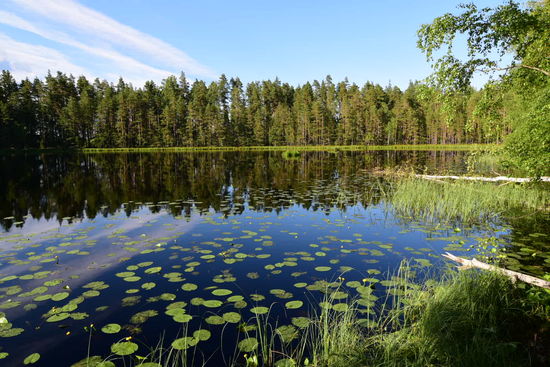 Kein Zweifel, ich bin in Finnland angekommen und nutze gleich für die erste Nacht das finnische Jedermannsrecht und zelte mit dieser Aussicht in der Natur
Kein Zweifel, ich bin in Finnland angekommen und nutze gleich für die erste Nacht das finnische Jedermannsrecht und zelte mit dieser Aussicht in der Natur