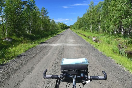 In Schweden sehen die Wälder gaaanz anders aus als in Finnland. Jedenfalls brauche ich den Genuss nicht mit dem motorisierten Verkehr teilen