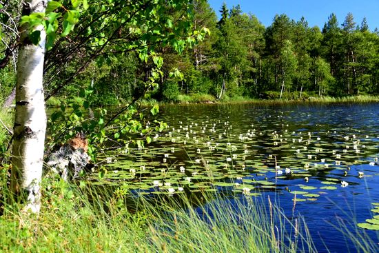 So muss es wohl sein