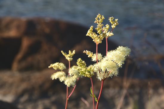 Es ist das Licht, das den Unterschied macht