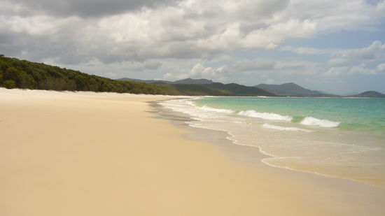 Whiteheaven Beach: der Name ist Programm! Kilometerlanger, weißer Quarzsand mit türkisblauem Meer... Dazu muss ich wohl kaum was sagen, oder?