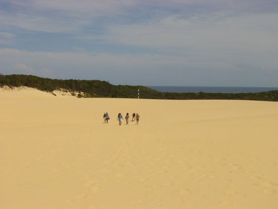 Auf dem Weg zum Lake Wabby, durften wir dann kilometerweise über glühend heißen Sand laufen. Zum Glück wussten wir das vorher nicht und hatten daher Flip Flops an. Selbst die Mädels hatten danach keine kalten Füße mehr