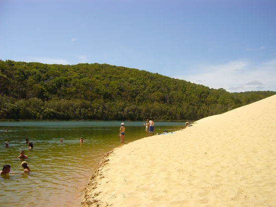 Zur Erfrischung konnten wir wenigstens in den Lake Wabby hüpfen. Überall auf der Insel gibt's solche Seen, die dadurch entstehen, dass sich das im Sand gespeicherte Regenwasser sammelt.