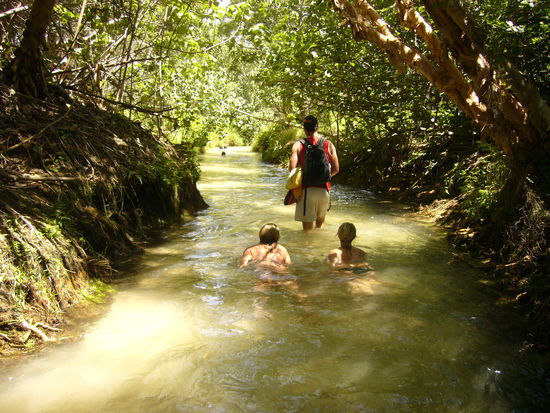 Im Eli Creek konnte man sich auch in idyllischer Umgebung durch's Wasser treiben lassen - wenn man nicht das Gepäck für die durch's Wasser Treibenden tragen durfte...