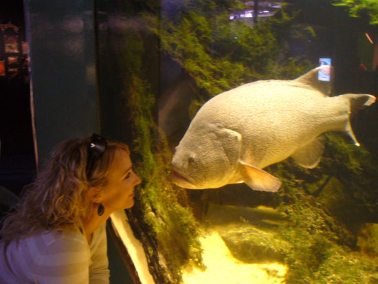 Im Aquarium stellt man sich natürlich zwangsläufig die Frage, wer hier wen begutachtet?!?