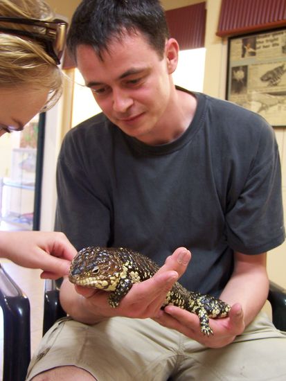 Von der Beweglichkeit und dem Koerperprofil her wurden schon Vergleiche zu unserem agilen Kreislaeufer Steff "El Tonno" Mueller mit diesem lieben Tierchen angestellt - das bewegt sich naemlich in Zeitlupe und speichert sein Fett im Schwanz...
