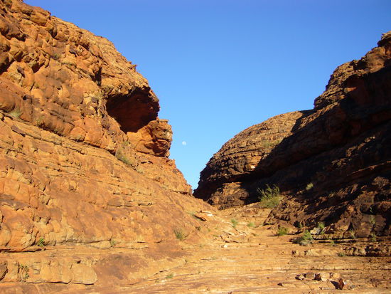 Auf der einen Seite die Sonne, auf der anderen noch der Mond, der am Himmel steht. Kurz nach Sonnenaufgang im Kings Canyon gegen halb 7!!!